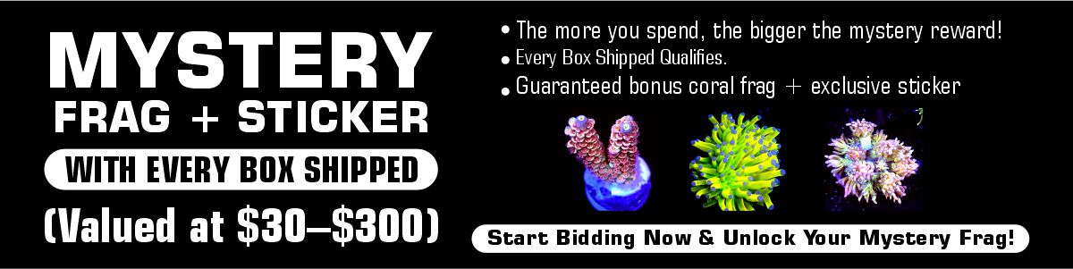 Promotional Banner
