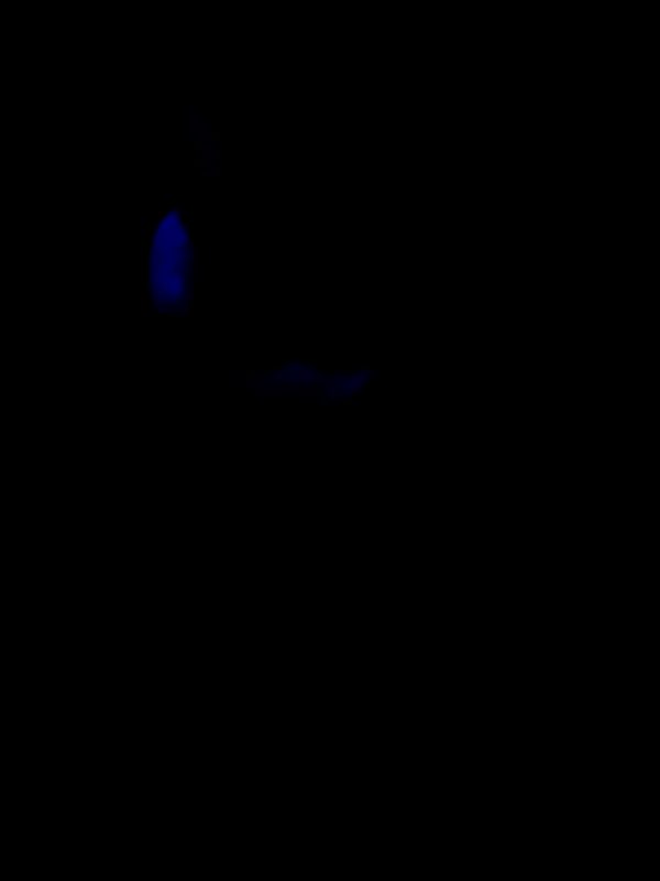 SBB " Inferno Eye" Acro Large 1+ Branch