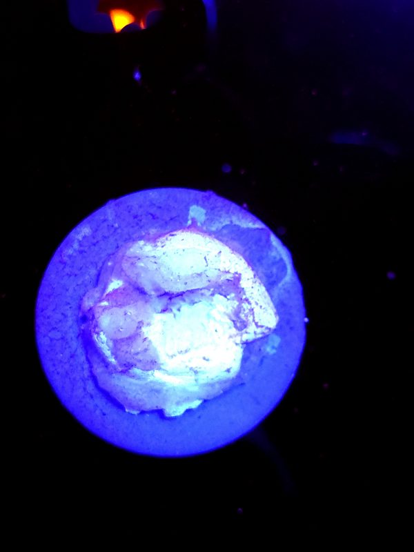 SBB "Molten Sugar" Acro Xlarge Multibranch Colony