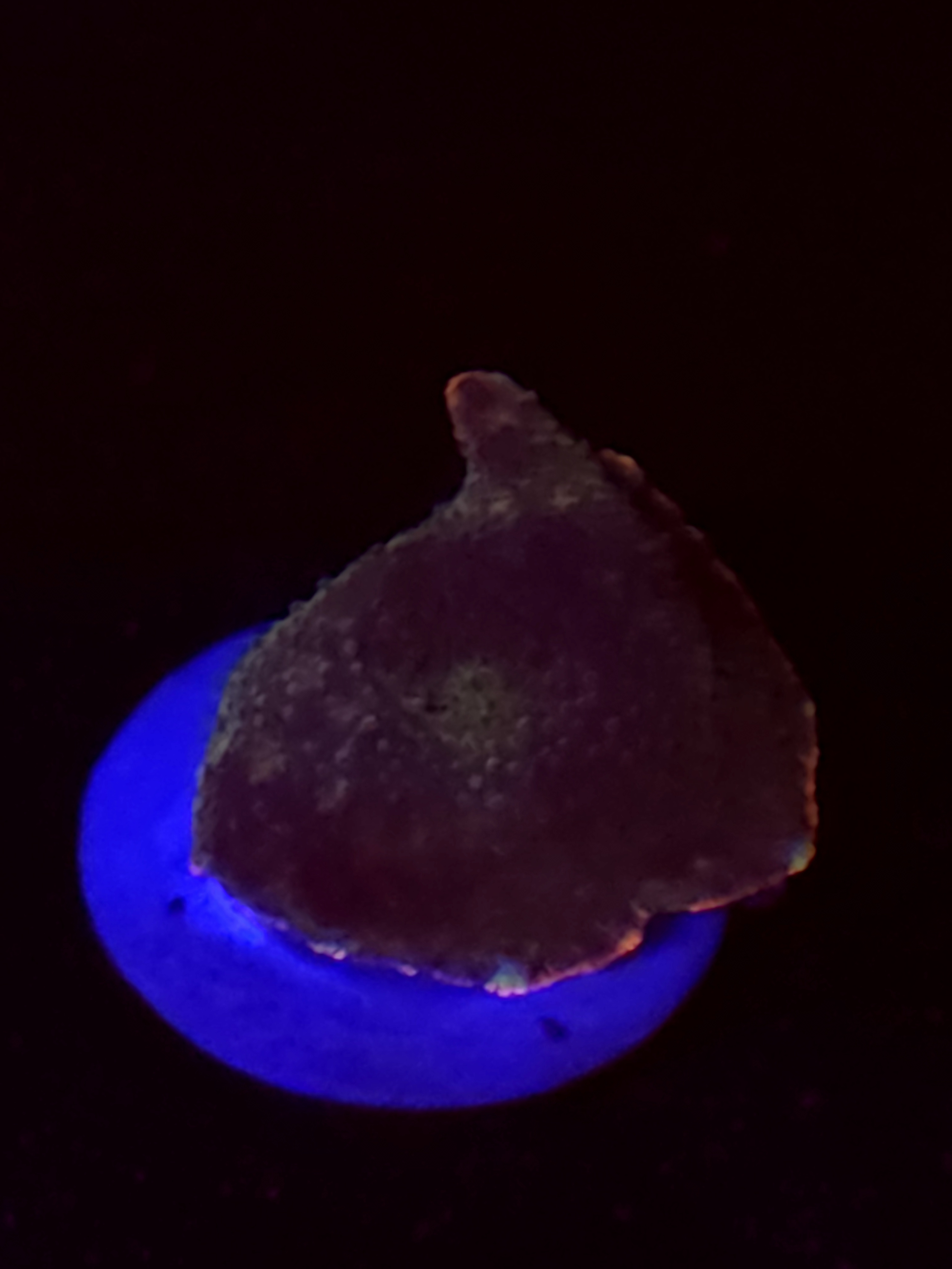 SBB "Bio Ember" Mushroom Small