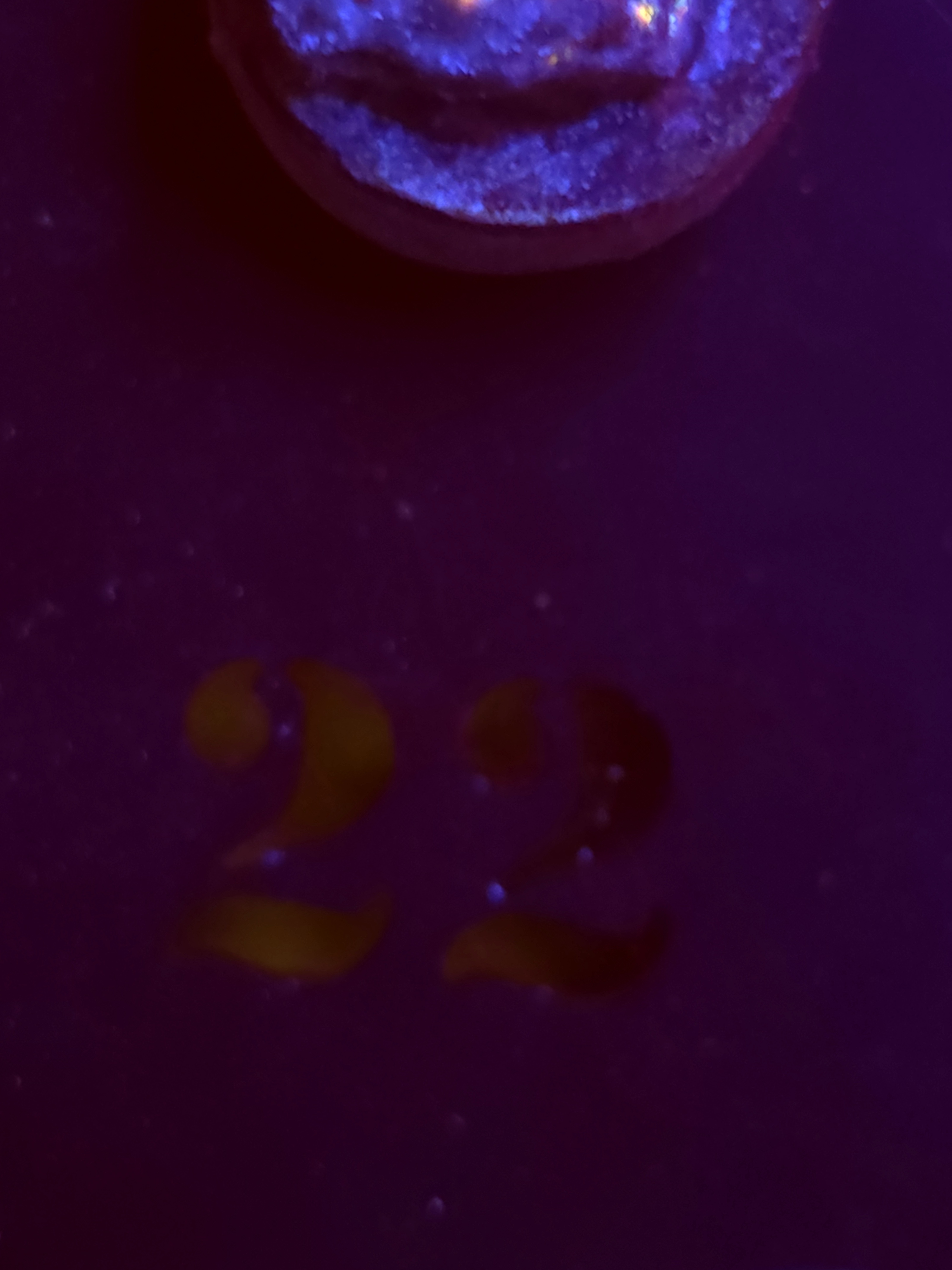 SBB "Venom Candy" Goni Medium