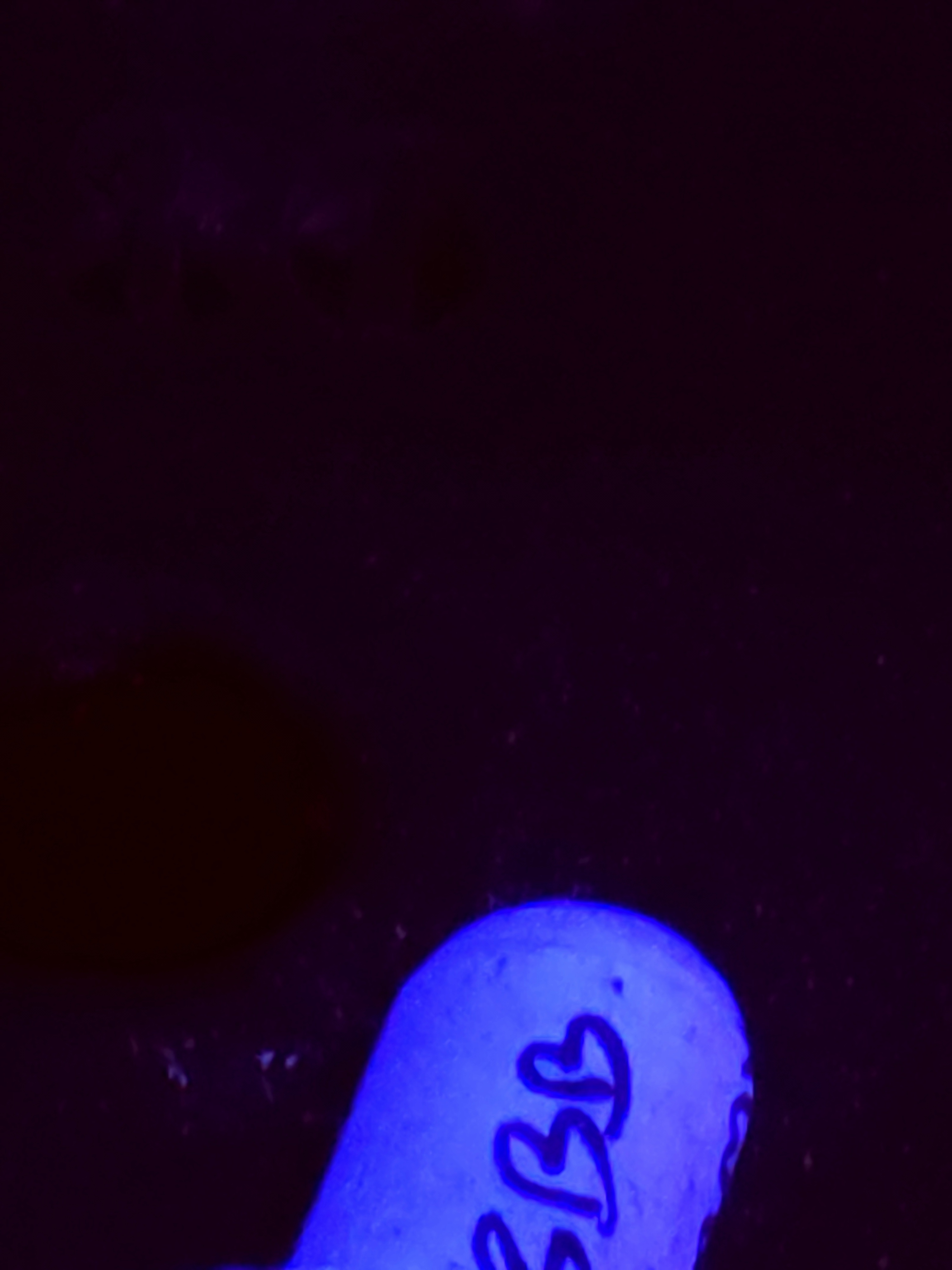 SBB "Gummy Yummy" Goni Medium