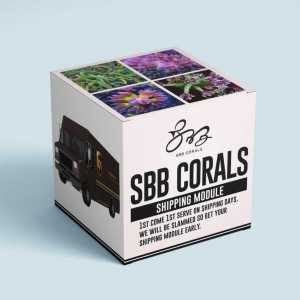 Shipping Module- Buy if Order is under $500